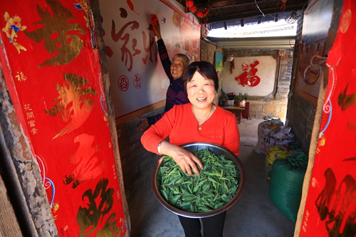 有“鄉(xiāng)愁”更有奔頭